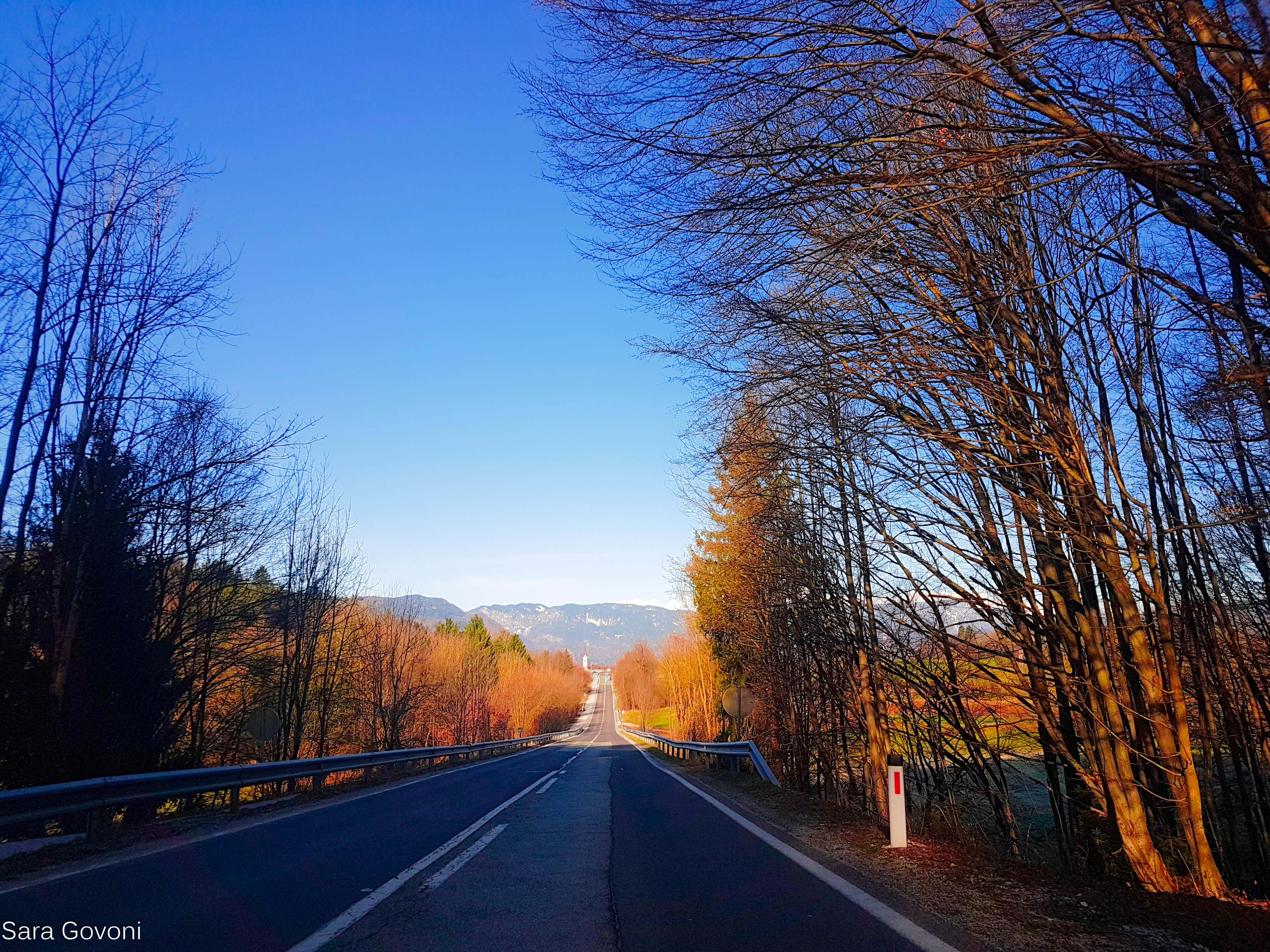 Visitare Lubiana: strada in salita con alberi accanto e montagne in sfondo