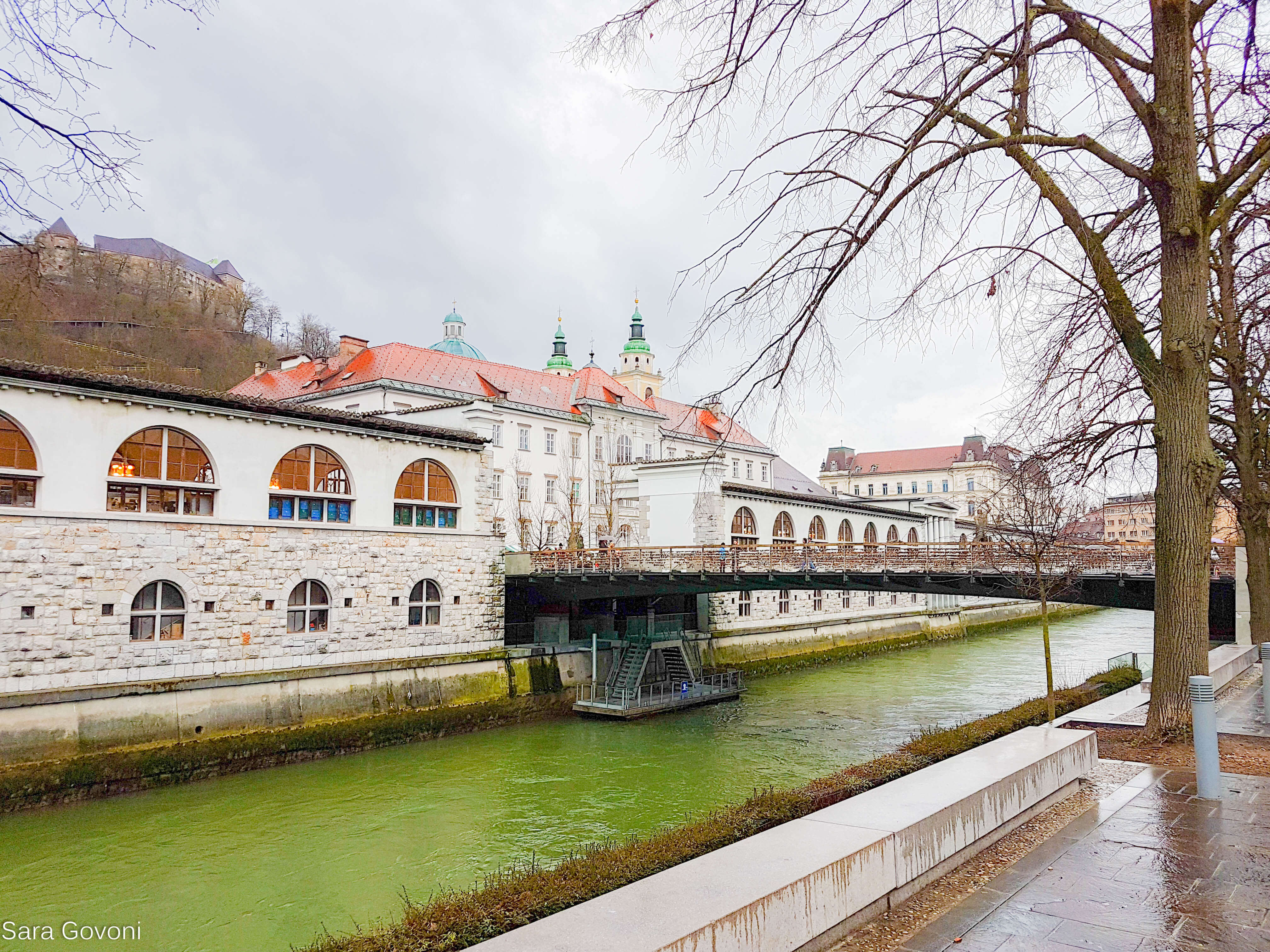 ponte dei macellai e mercato coperto di Lubiana