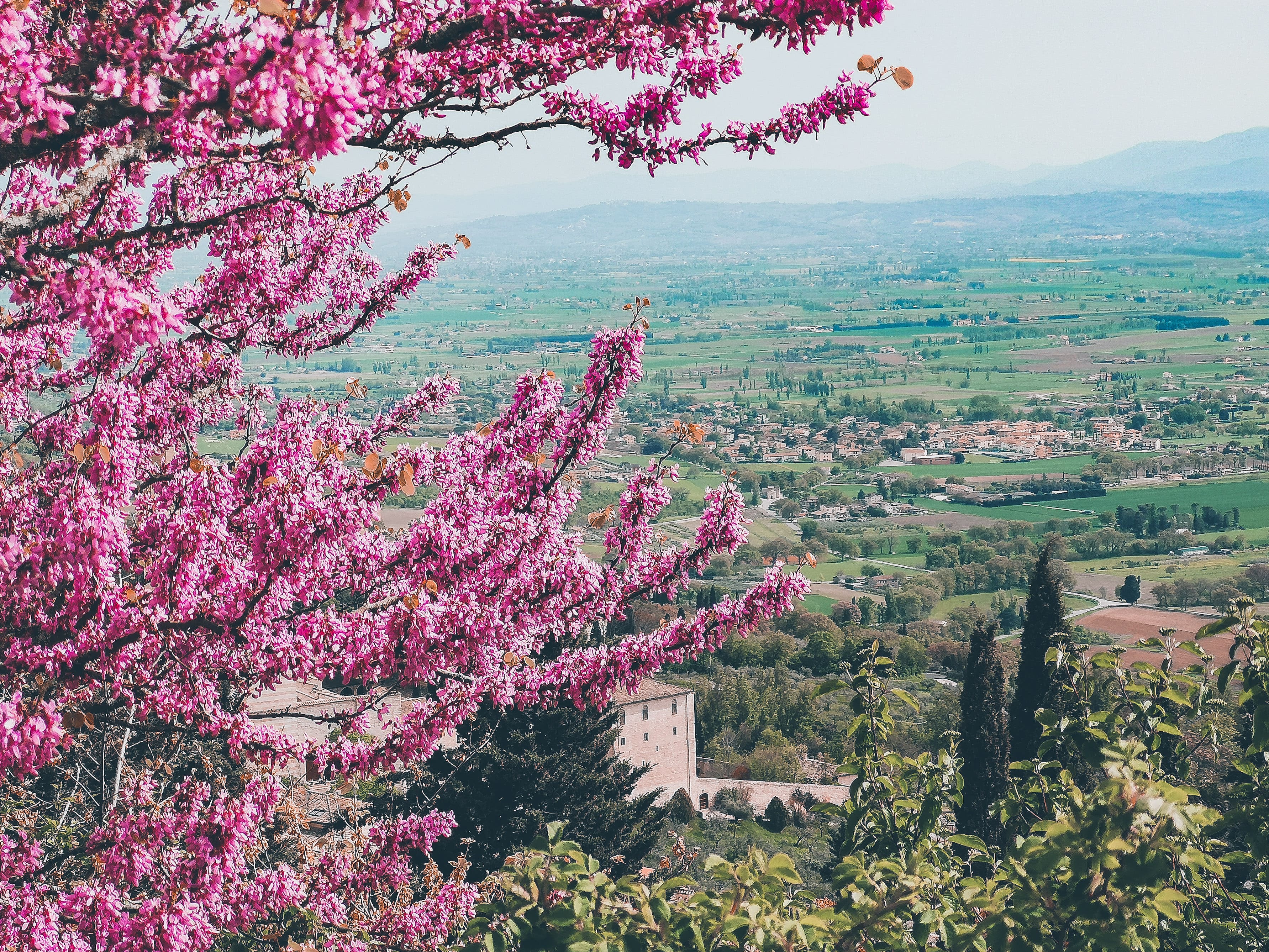 Cosa fare ad Assisi: cosa vedere, fare e mangiare | la guida completa