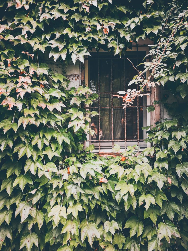 Angoli nascosti in provincia di Ferrara: l'agriturismo Le Occare