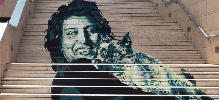 posti per gli amanti dei mici: Alla ricerca dei gatti di Roma itinerario gattaro per la Città Eterna