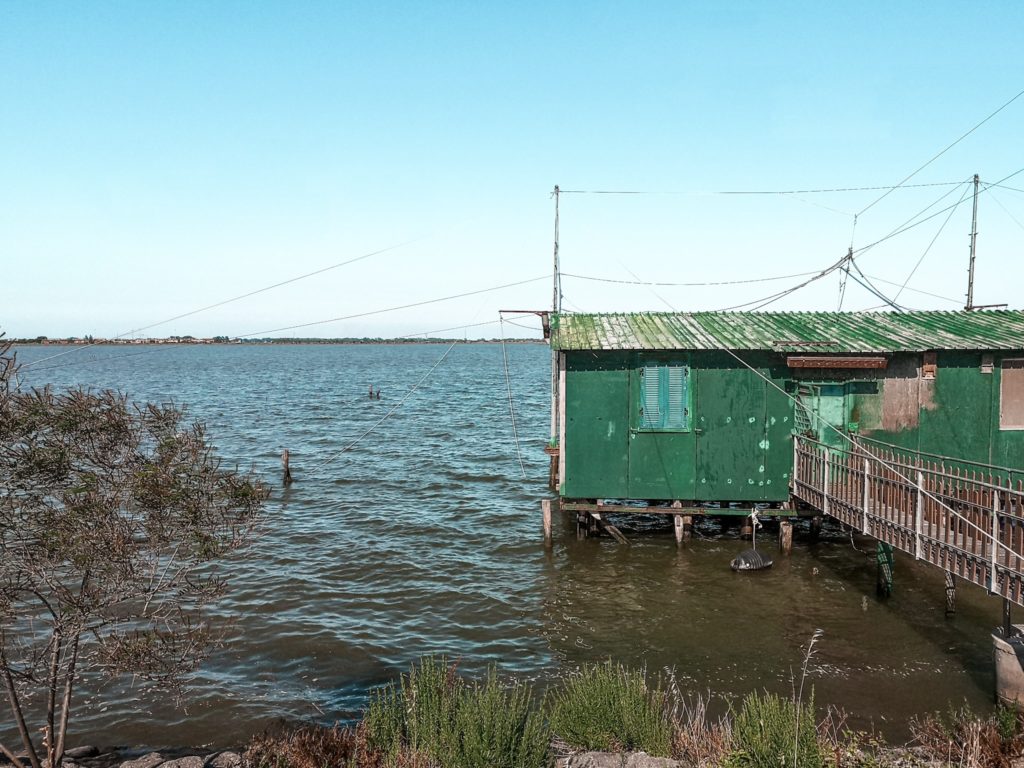 Visitare le Valli di Comacchio cosa vedere tra storia e natura