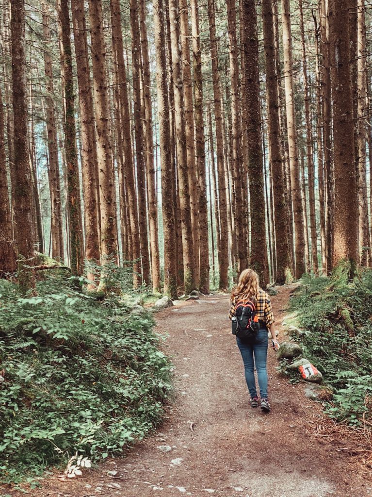 Forest Bathing in Italia: cos’è e perché lo consiglio a tutti