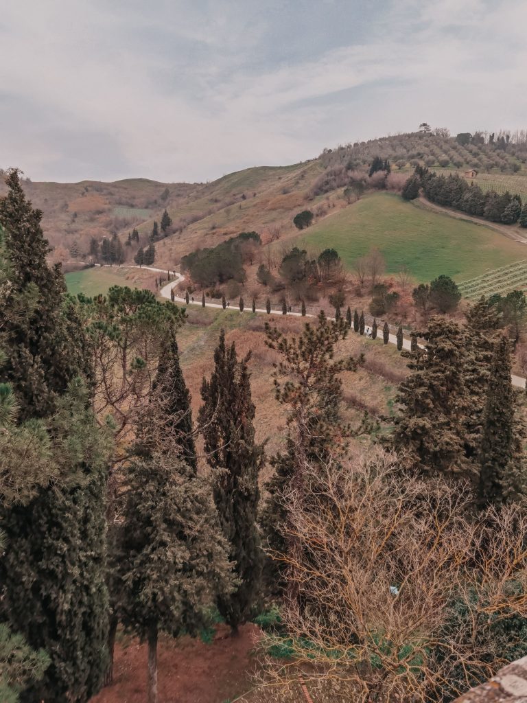 Cosa vedere a Brisighella: viale di cipressi di Brisighella