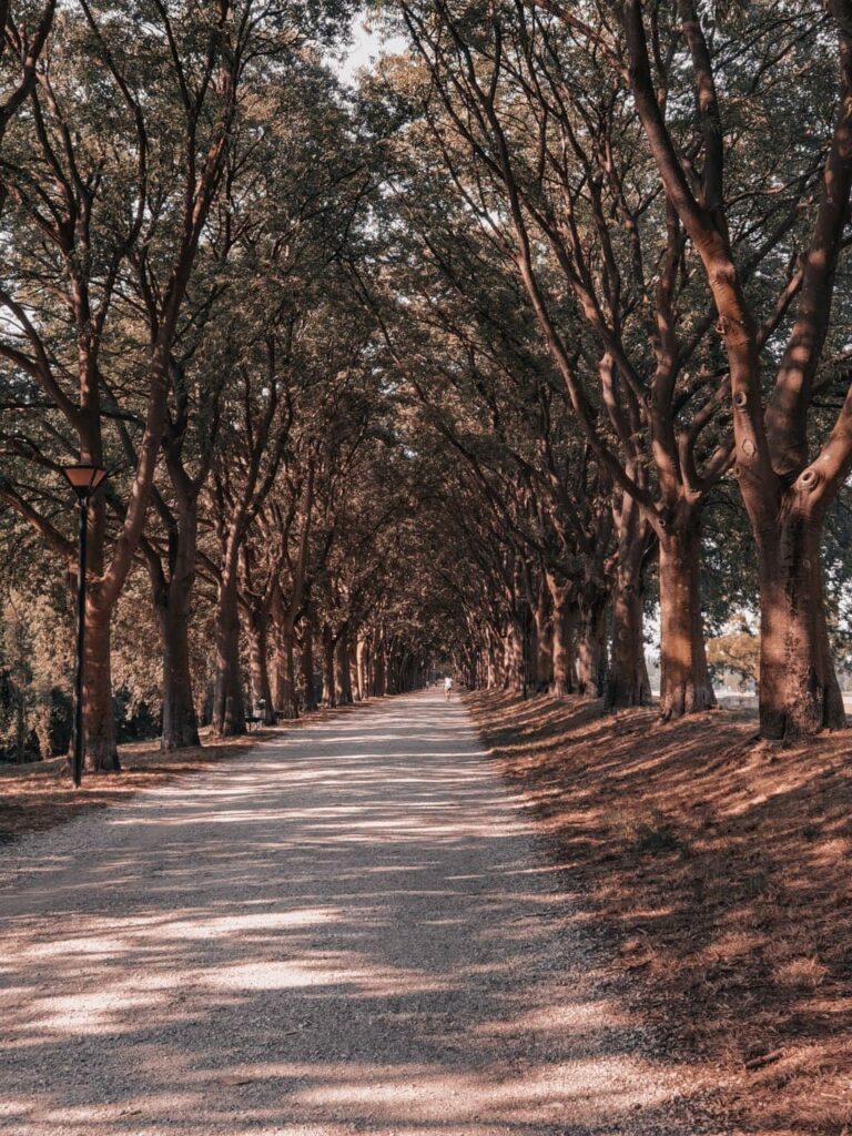 Tour per le mura di Ferrara: itinerario tra storia e natura