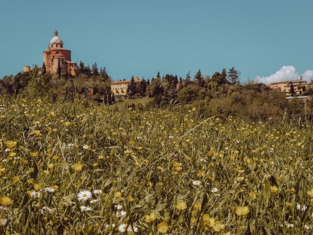 San Luca immersa nei fiori dei 300 scalini