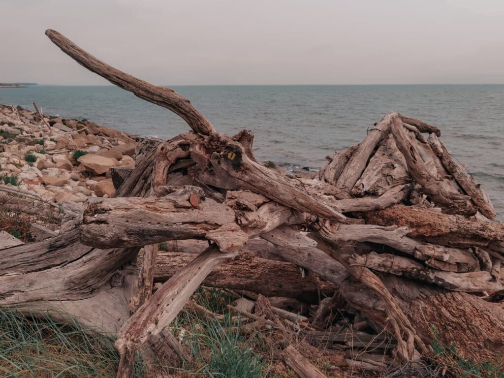 altra scultura in legno del sentiero