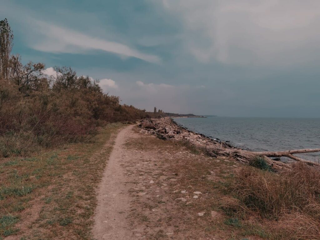 sentiero con scogli tra pineta e mare lido delle nazioni