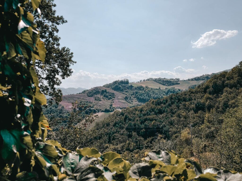 panorama da borgo basino