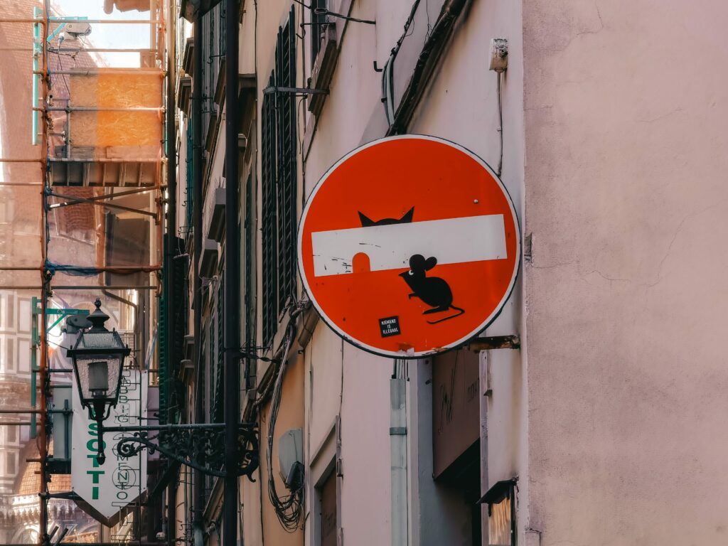 clet a firenze