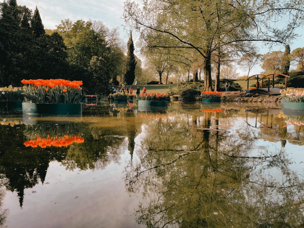 giardino acquatico del parco sigurtà