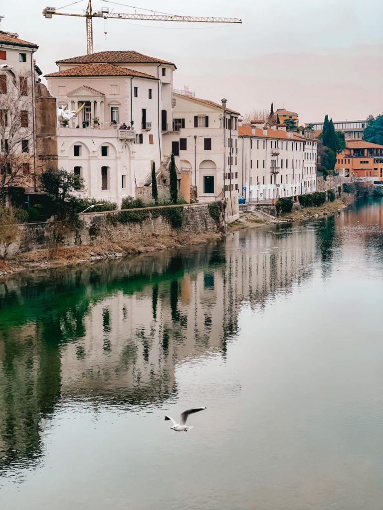 rinoceronte dal ponte degli aplini