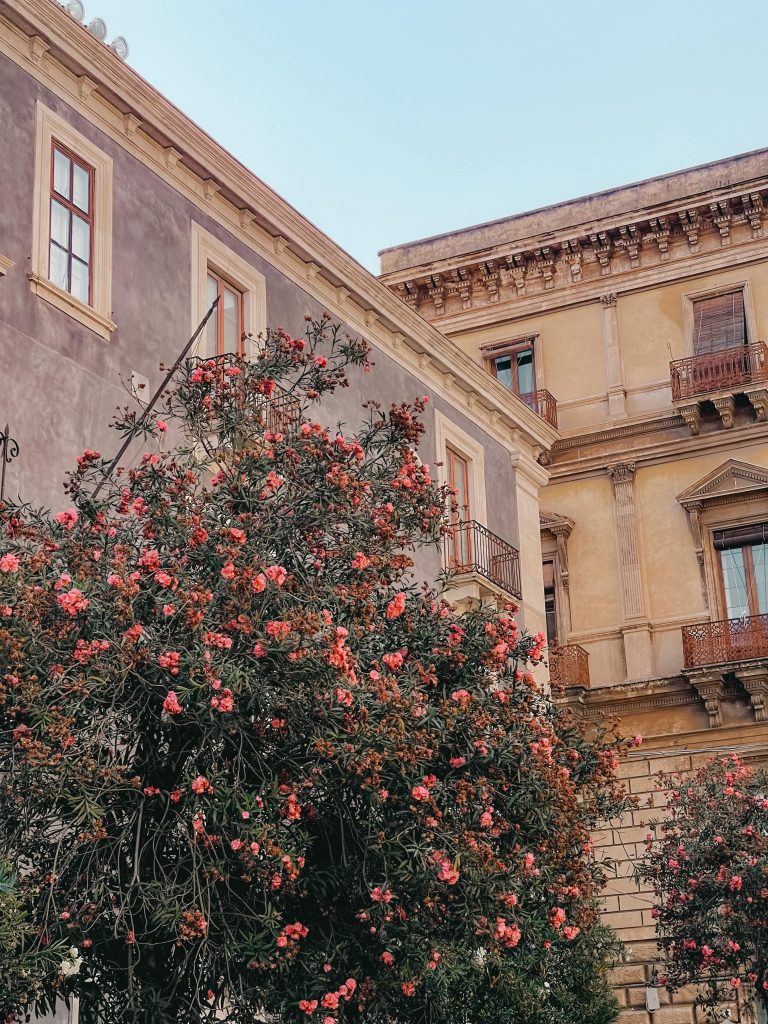 Cosa vedere a Catania in un giorno: tips tra cibo e musei