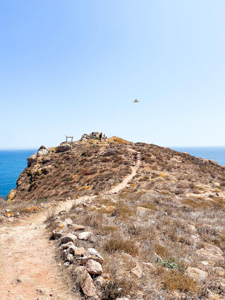 punta più alta di Berlenga Grande