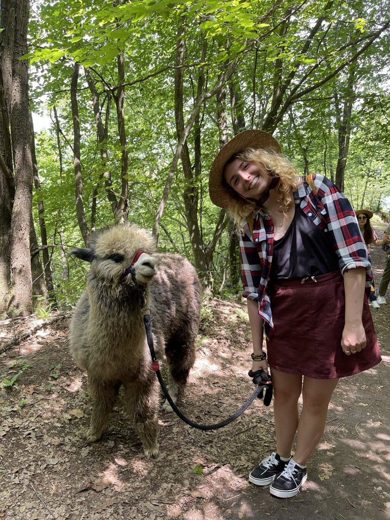 Cosa fare in Emilia Romagna in estate: alpaca in provincia di Reggio Emilia