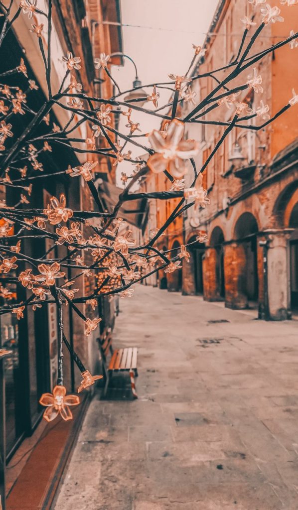 Natale a Ferrara, decorazioni lungo le vie