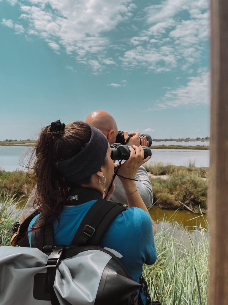 Cosa fare in Emilia Romagna in estate: 10+ consigli local - birdwatching con i ragazzi del TAO