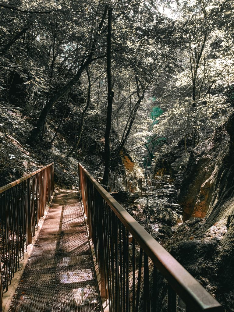 passerelle La Gola Rastenbach