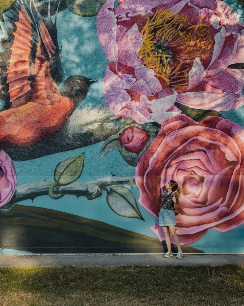 murales dalla palestra di san lazzaro