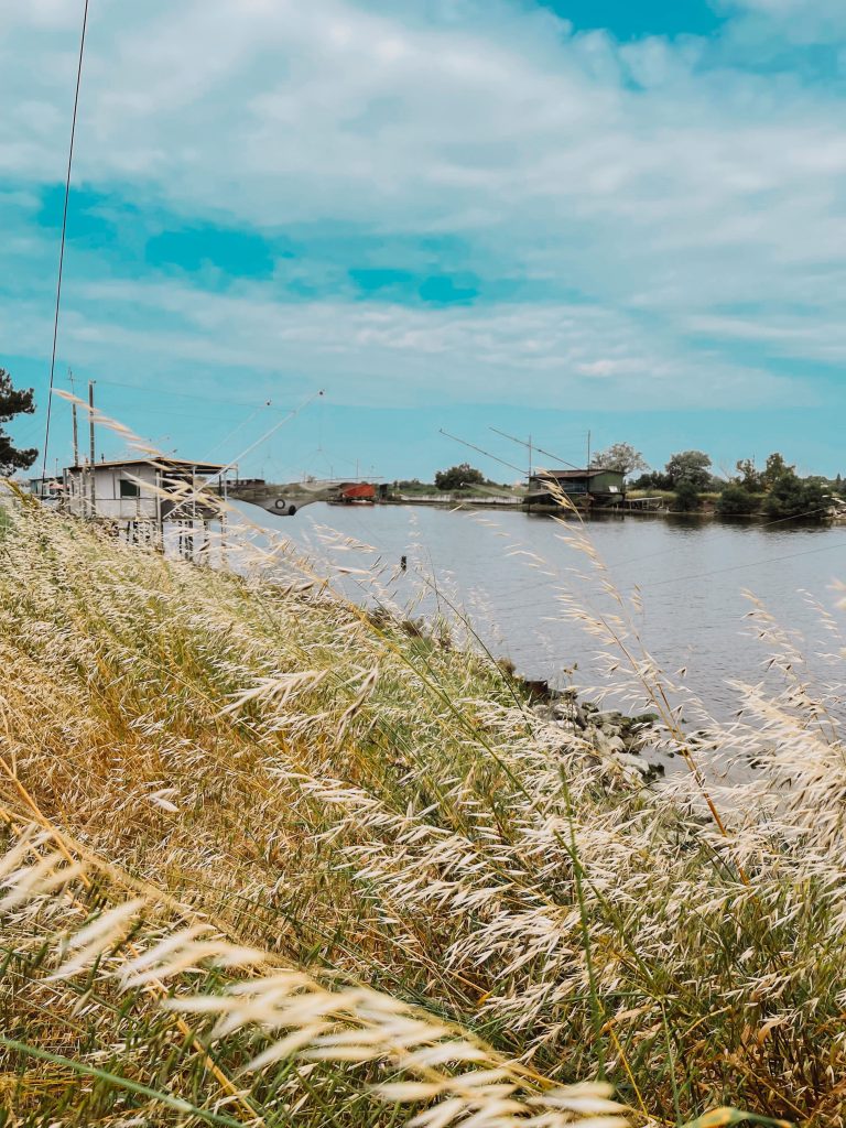 Cosa fare in Emilia Romagna in estate: saline di comacchio