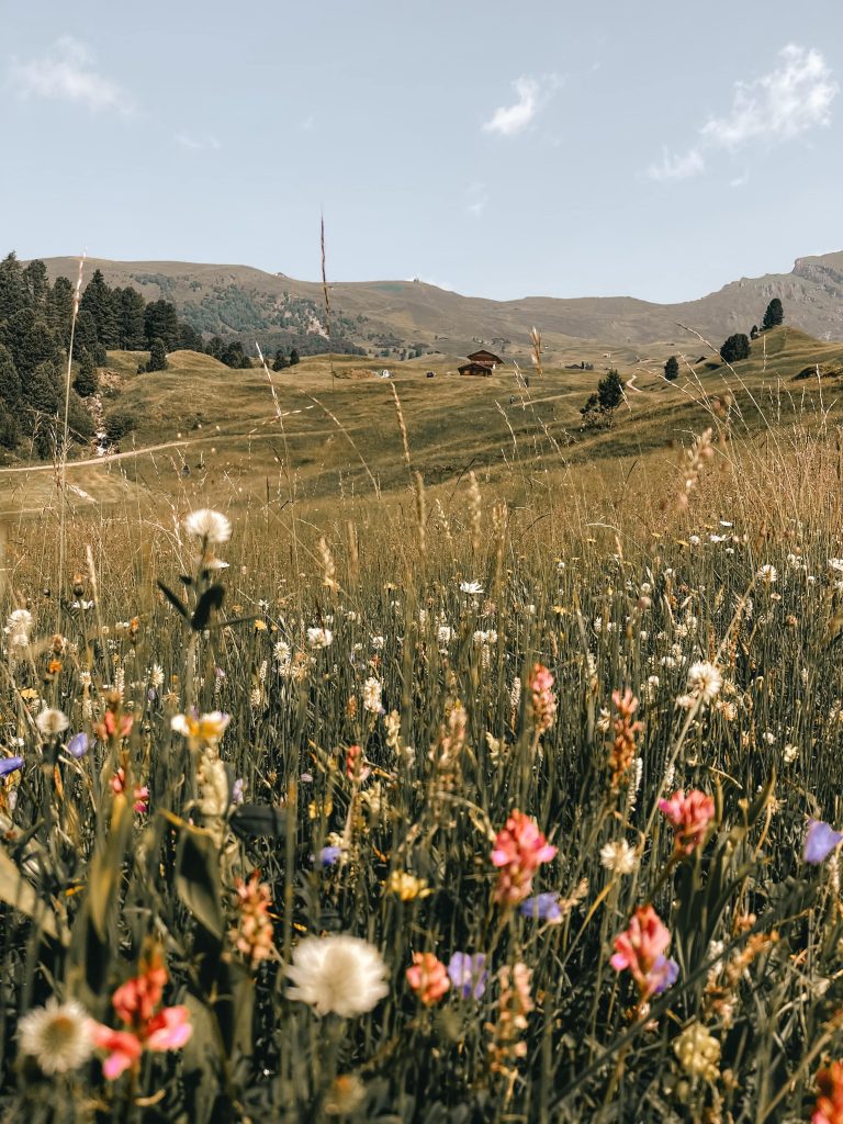 panorama della val gardena