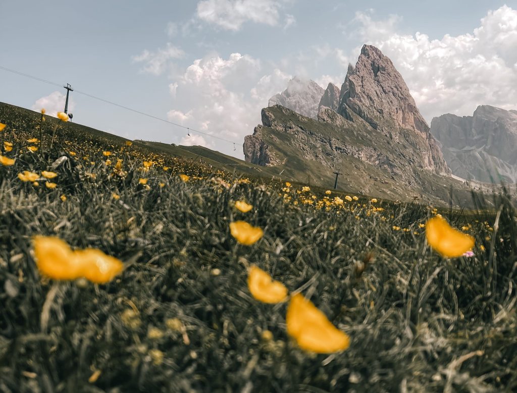 Escursione al Seceda in Val Gardena: come raggiungere questa meraviglia nelle Dolomiti