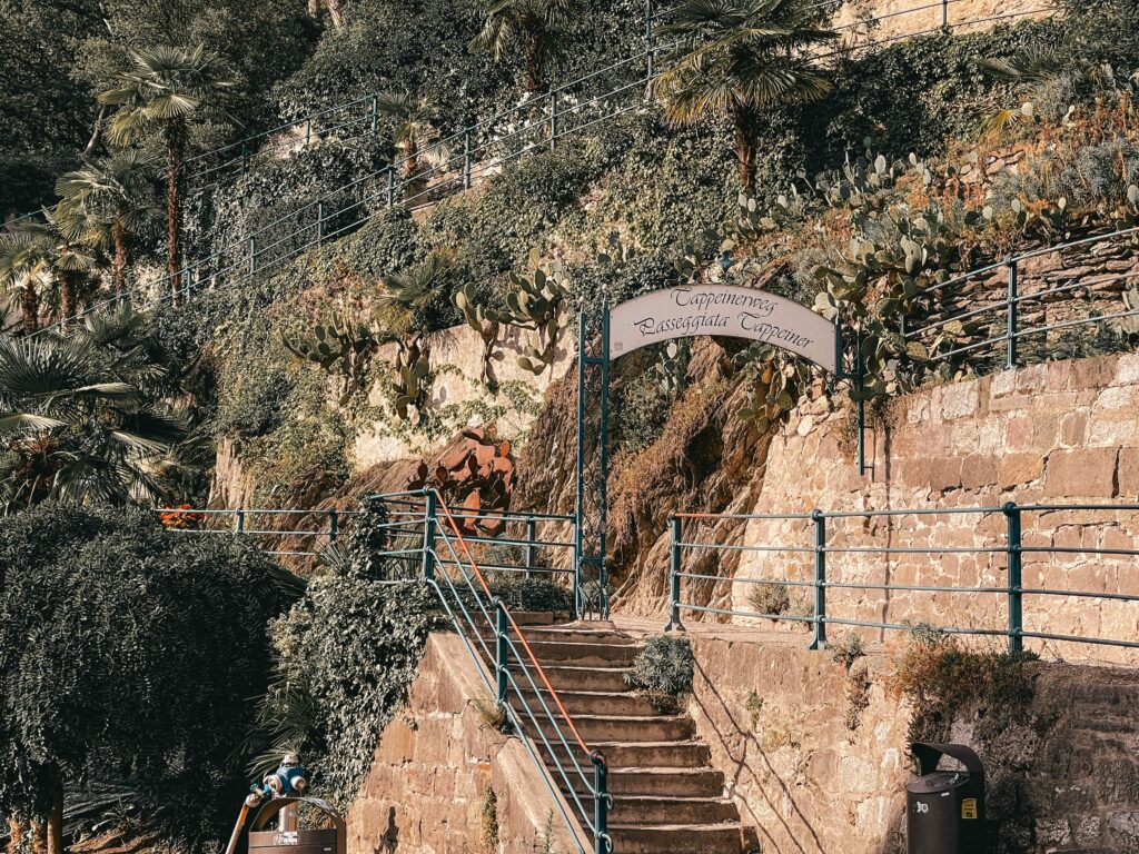 cosa fare a merano: passeggiate nella natura