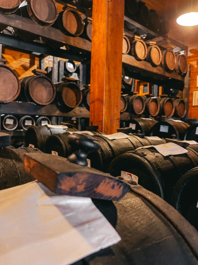 visita acetaia - aceto balsamico tradizionale DOP