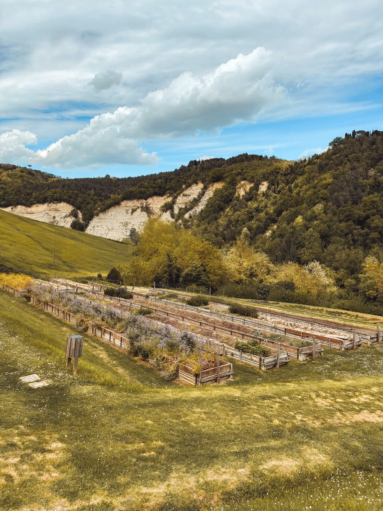 Cosa vedere a Casola Valsenio: giardino delle erbe dimenticate