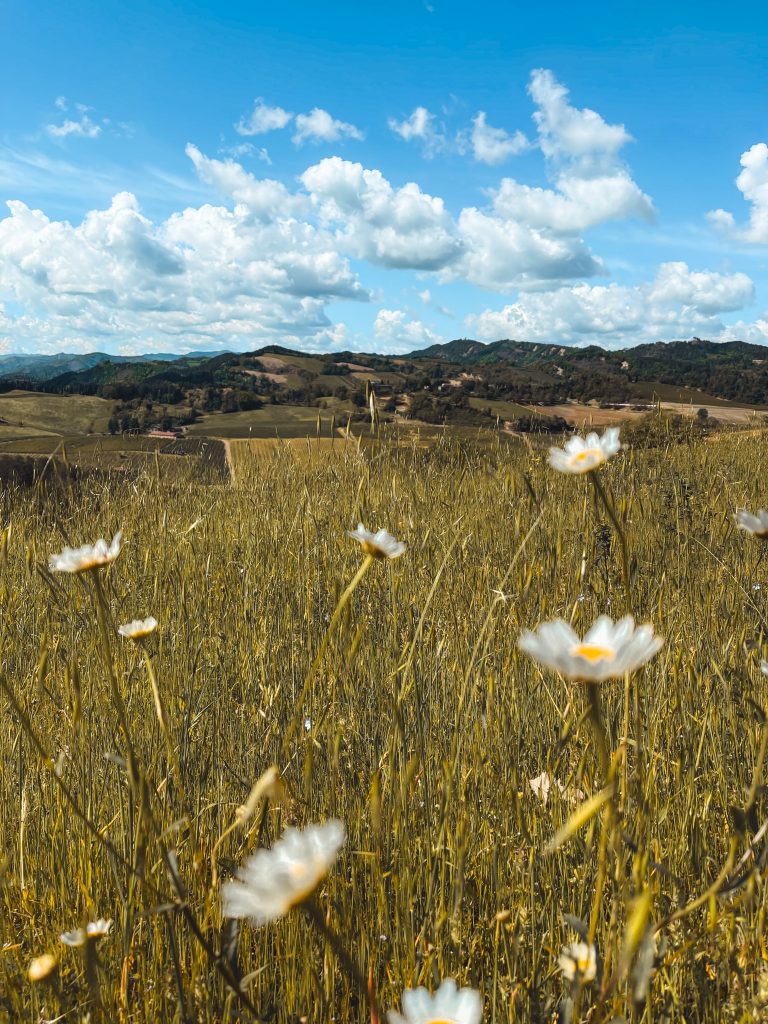 Cosa vedere a Casola Valsenio: nel parco della vena del gesso romagnola