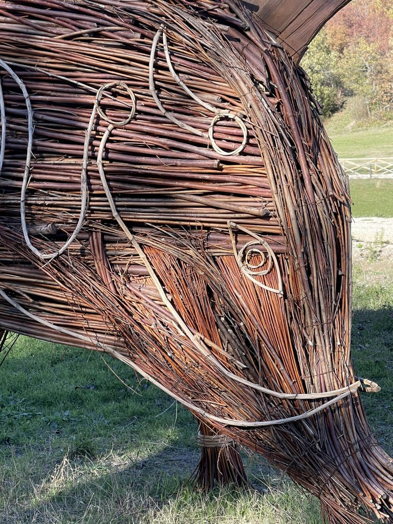 Cinghiale Celtico: escursione in appennino bolognese