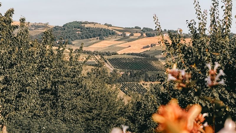 Cosa fare in Valsamoggia: 3 borghi da esplorare