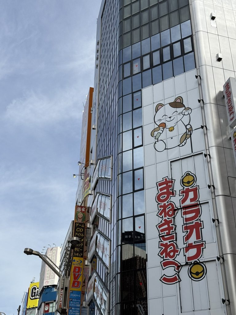 Curiosità di Tokyo da visitare - karaoke